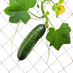 Vous souhaitez agrémenter votre jardin de quelques plantes grimpantes ? Alors ce tuteur leur sera d’une grande aide durant le ...
