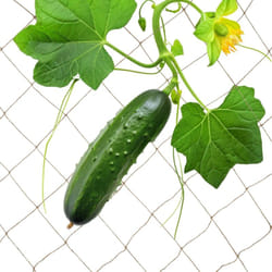 Relaxdays Filet en jute, pour plantes grimpantes, tuteur, 3x4 m, jardin & serre, pour concombres, nature