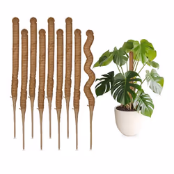 Relaxdays Tuteurs en fibre de coco lot de 10 pour monstera photos supports pour plantes dintérieur 60 cm nature