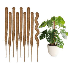 Relaxdays Tuteurs en fibre de coco lot de 10 pour monstera photos supports pour plantes dintérieur 60 cm nature