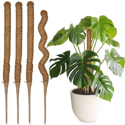 Relaxdays - Tuteurs en fibre de coco, lot de 5, pour monstera, photos, supports pour plantes d'intérieur, 60 cm, nature