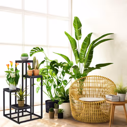 Relaxdays Étagère à plantes, 4 niveaux, HxLxP : 80x40x40 cm, acier et MDF, escalier pour fleurs design, noir