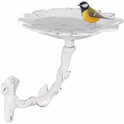 Réjouissez vous à la vue des moineaux, des mésanges ou des merles qui visitent ces beaux abreuvoirs. Le bain pour oiseaux est ...