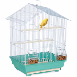 Offrez à votre ami à plumes une maison confortable grâce à cette cage pour perruches. La cage est idéale pour les petits oise ...