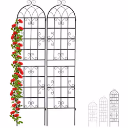 Description générale Ce treillis de jardin en lot de 2 est idéal pour soutenir la croissance des plantes grimpantes tout en a ...