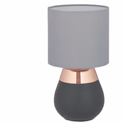 Avec cette lampe de table moderne vous faites entrer chez vous un accessoire élégant. La lampe tactile avec socle en fer et a ...