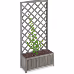 Embellissez votre jardin avec ce treillis en bois de sapin décoratif. La jardinière pratique avec treillis donne aux plantes ...