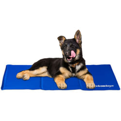 Relaxdays - Tapis rafraichissant chien, Auto-rafraichissant, pour animaux, Couverture froide, différentes tailles, bleu