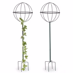 Cette arcade à rosiers en métal revêtu par poudre ne fournit pas seulement aux plantes grimpantes le soutien nécessaire à leu ...