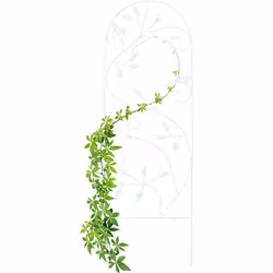 Cette arcade à rosiers en fer ne fournit pas seulement aux plantes grimpantes le soutien nécessaire à leur développement, ell ...