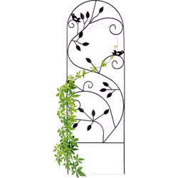 Description générale Cette arcade à rosiers en fer est idéale pour soutenir vos plantes grimpantes tout en ajoutant une touch ...
