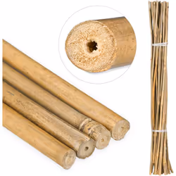 Ces bâtons en bambou naturels sont les tuteurs idéaux pour vos fleurs et plantes dans le jardin, sur la terrasse ou le balcon ...