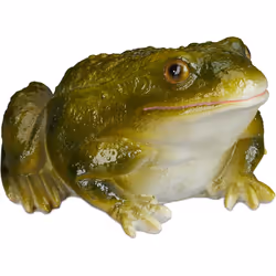Donnez un air réaliste et nature à votre jardin avec cette figurine d’un faux crapaud. Idéal près d’un massif de fleurs, étan ...