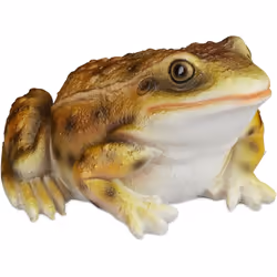 Donnez un air réaliste et nature à votre jardin avec cette figurine d’un faux crapaud. Idéal près d’un massif de fleurs, étan ...