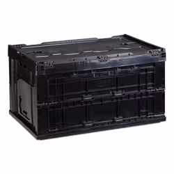 Relaxdays 4052025952327, Boîte de rangement, Noir, Rectangulaire, Plastique, Monochromatique, Intérieure