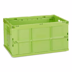 Relaxdays 4052025952419, Boîte de rangement, Vert, Rectangulaire, Plastique, Monochromatique, Intérieure