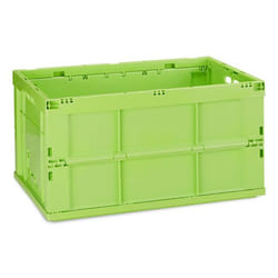 Relaxdays 4052025952419 Boîte de rangement Rectangulaire Plastique Vert