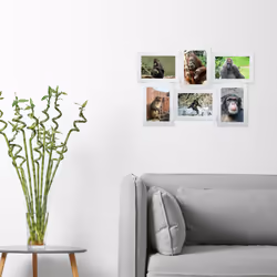 Relaxdays 4052025955533 cadre photos Multi cadre Blanc