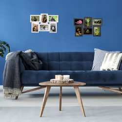 Relaxdays 4052025955533 cadre photos Multi cadre Blanc