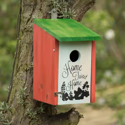 Relaxdays - Nichoir à oiseaux home sweet home pour petits oiseaux bois porte HxlxP 21,5 x 12 x 15,2 cm à suspendre, vert rouge