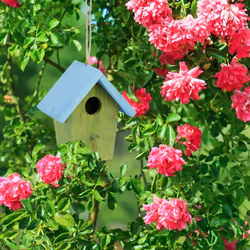 Relaxdays - Maison à oiseaux nichoir perchoir en bois coloré à suspendre HxlxP: 16 x 15 x 11 cm, vert