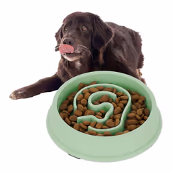 Relaxdays Gamelle anti-glouton repas pour chiens 650 ml digestion lente compatible avec lave-vaisselle vert