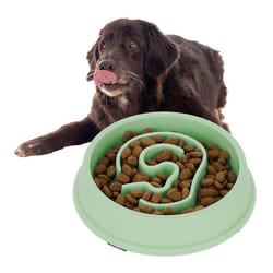 Relaxdays Gamelle anti-glouton repas pour chiens 650 ml digestion lente compatible avec lave-vaisselle vert