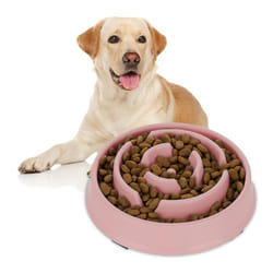 Relaxdays Gamelle anti-glouton repas pour chiens 400 ml digestion lente compatible avec lave-vaisselle rose