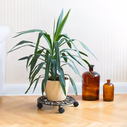 Relaxdays 4052025996970 accessoire de plantation Plant roller