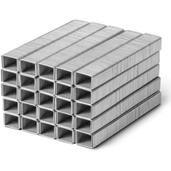 Set de 5000 agrafes de type 53, longueur 8 mm