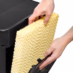 Filtre à évaporation pour refroidisseurs d'air PAE 60, 61, 80 et 81.