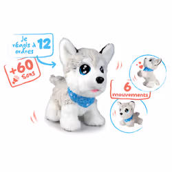 Smoby CCL HUSKY INTERACTIF, 4 an(s), AA, Piles fournies