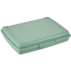 Boîte de rangement ordinaire 17 x 13 x 3,5, vert nordique