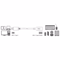 LogiLink USB C - USB A 0.15m câble USB 0,15 m USB 3.2 Gen 2 (3.1 Gen 2) Noir