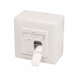 LogiLink NP0124 prise de courant 2 x RJ-45 Métallique, Blanc