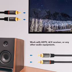 LogiLink CA1209 câble audio 10 m 2 x RCA Noir