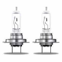 Osram 4052899436558, 55 V, 2 pièce(s)