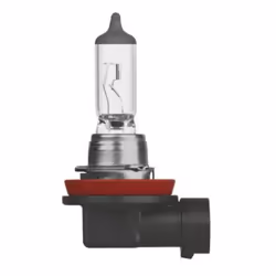 Ampoule halogène NEOLUX H11 12V, 55W, 1 pièce