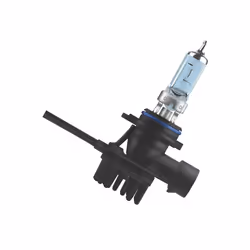Osram 4052899490628, 12 V, 6000 K, 1 pièce(s)