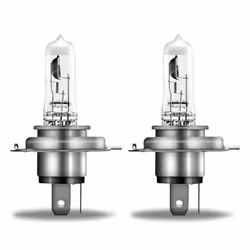 Osram 4052899992603, 60 V, 1 pièce(s)