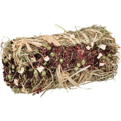 TRIXIE 60795 friandise pour petits animaux