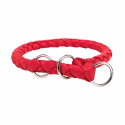 TRIXIE 143903, Chien, Collier standard, Rouge, Monochromatique, M-L, 43 cm