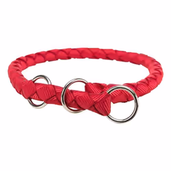 TRIXIE 144103, Chien, Collier standard, Rouge, Monochromatique, L-XL, 52 cm
