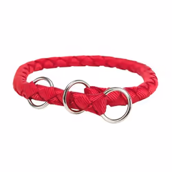 TRIXIE 144403, Chien, Collier standard, Rouge, Monochromatique, Small, 25 cm