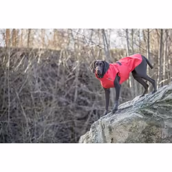 Imperméable pour chien Trixie Vimy
