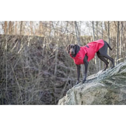 Imperméable pour chien Trixie Vimy
