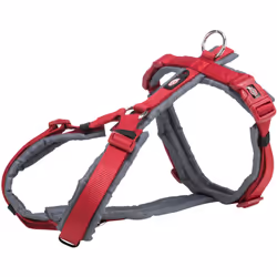 TRIXIE 1997003, Chien, S