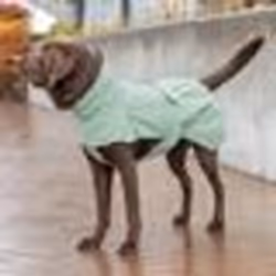 Trixie Imperméable pour Chien Dublín Vert XS 25 cm