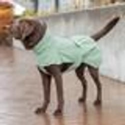 Trixie Imperméable pour Chien Dublín Vert XS 25 cm