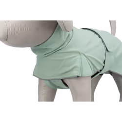 TRIXIE CityStyle Dublin XS Vert Coton, Polyester Chien Imperméable